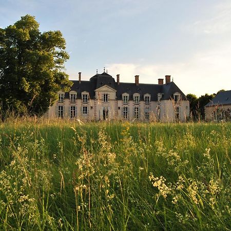 Chateau La Touanne Loire Valley Baccon 外观 照片