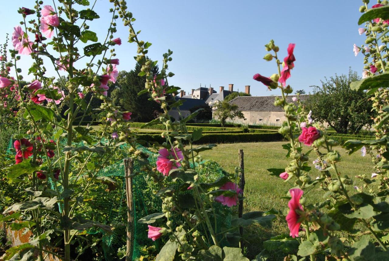 Chateau La Touanne Loire Valley Baccon 外观 照片