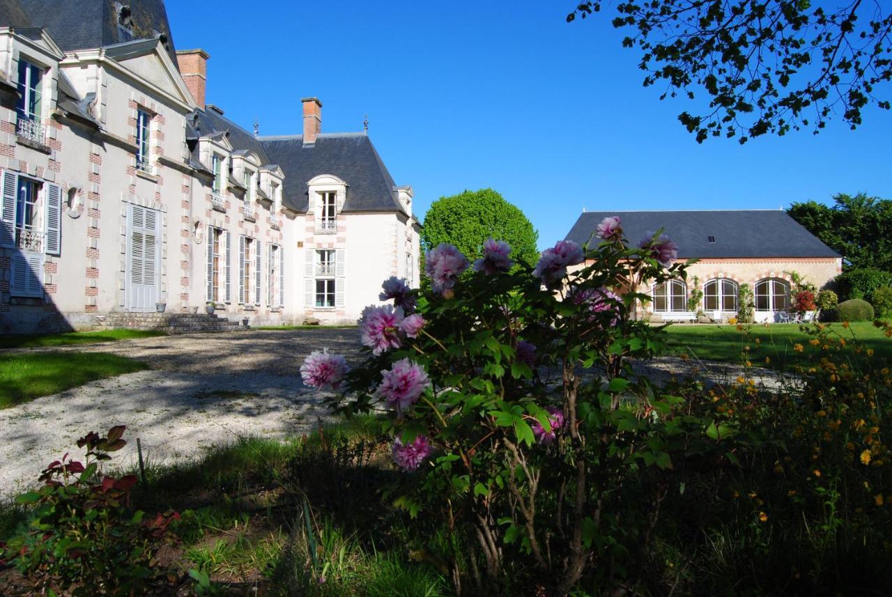 Chateau La Touanne Loire Valley Baccon 外观 照片