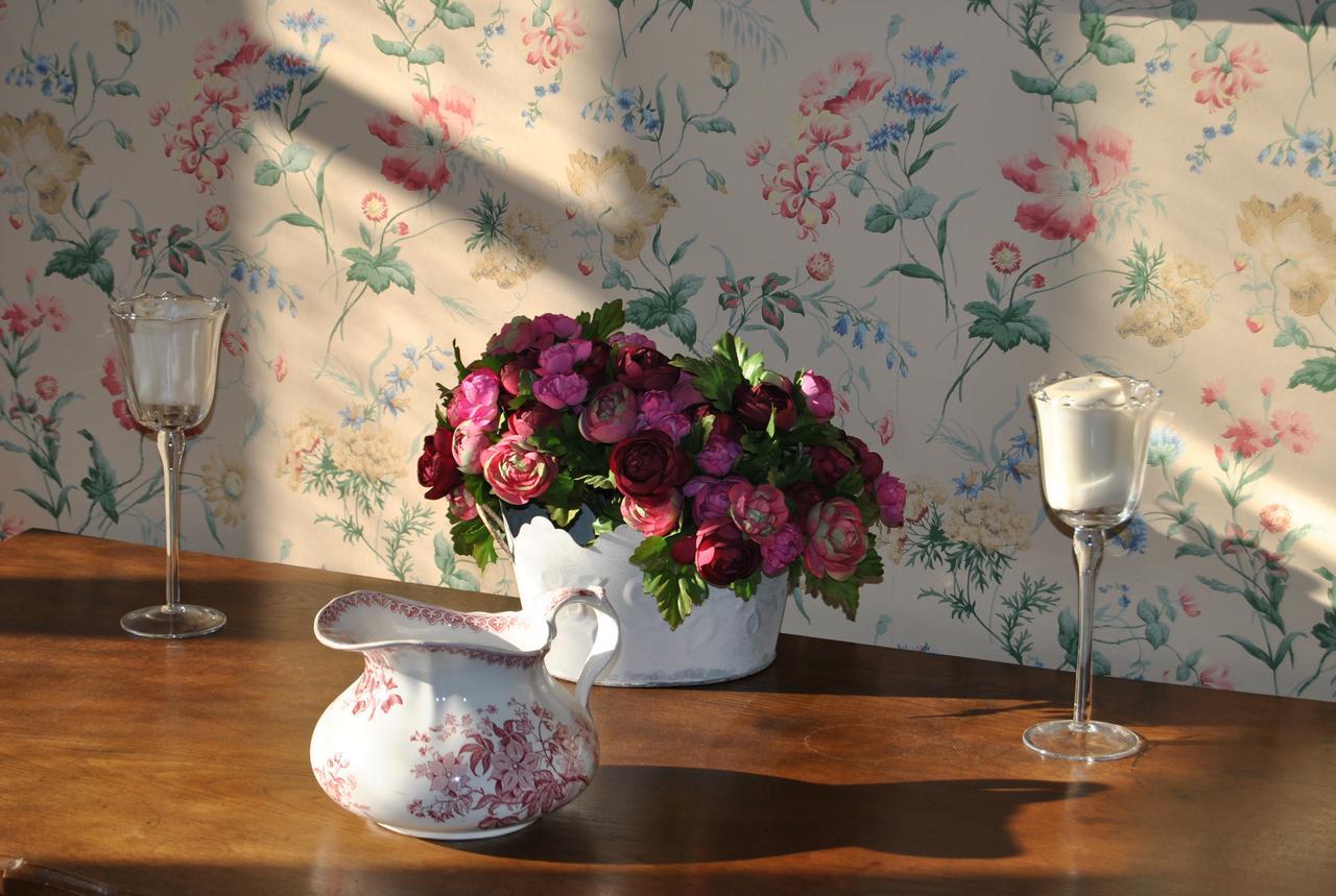 Chateau La Touanne Loire Valley Baccon 外观 照片