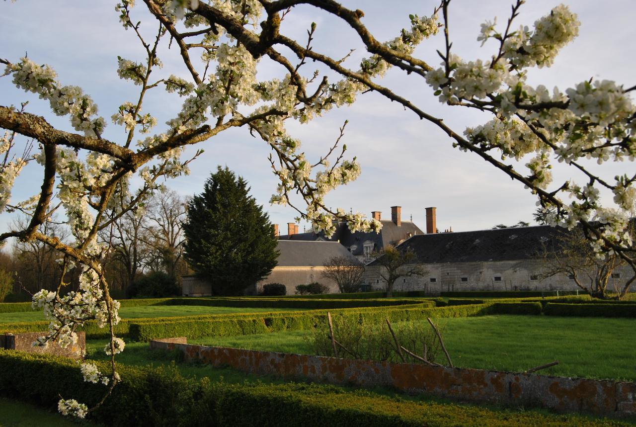 Chateau La Touanne Loire Valley Baccon 外观 照片