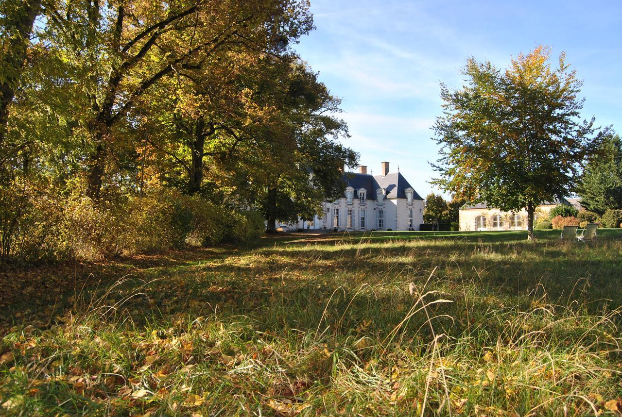 Chateau La Touanne Loire Valley Baccon 外观 照片