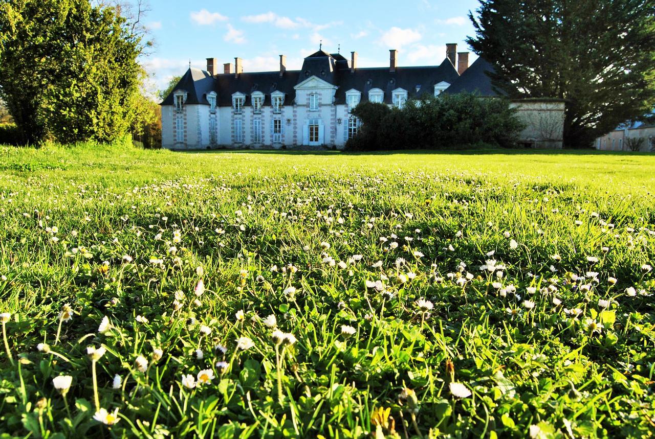 Chateau La Touanne Loire Valley Baccon 外观 照片