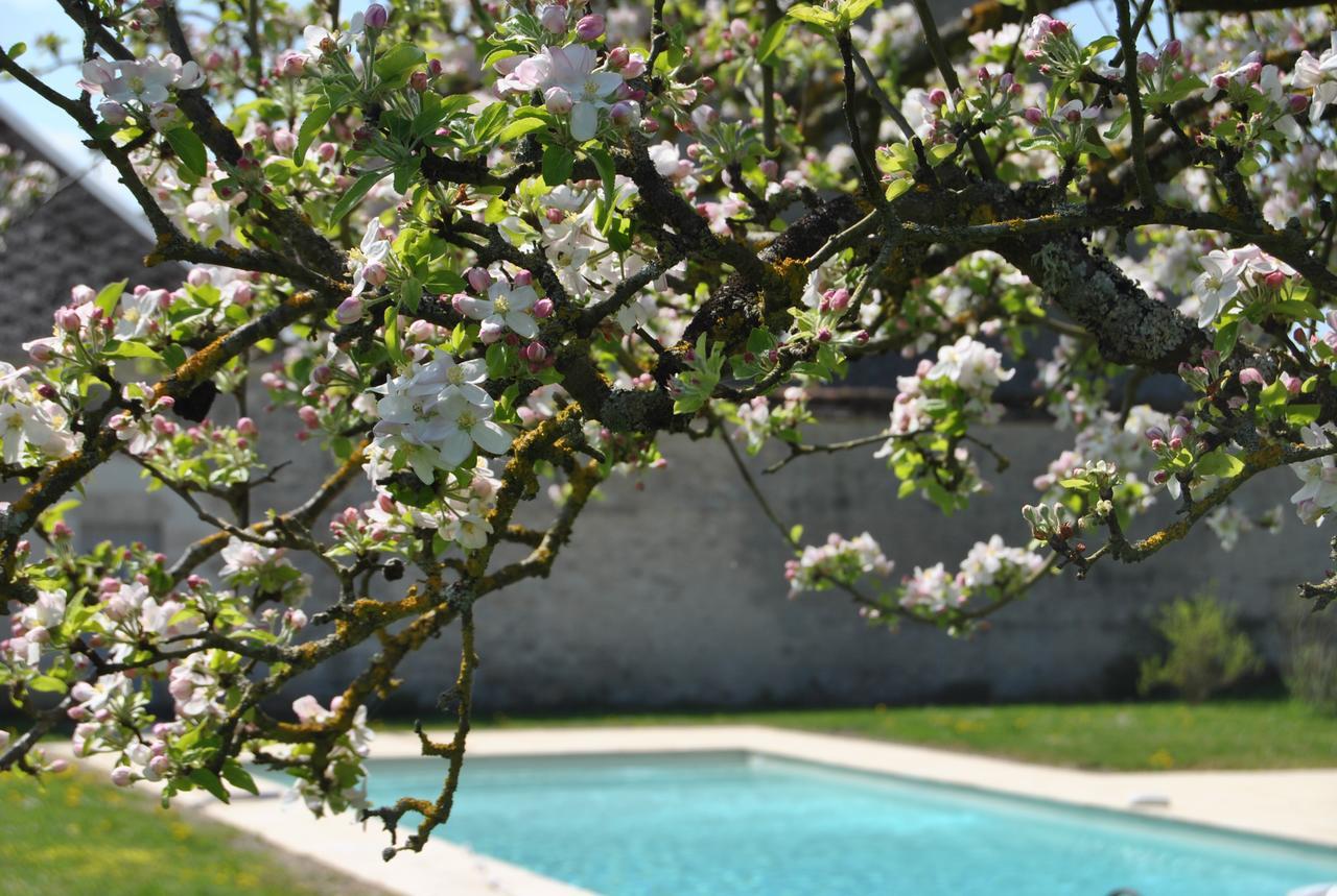 Chateau La Touanne Loire Valley Baccon 外观 照片