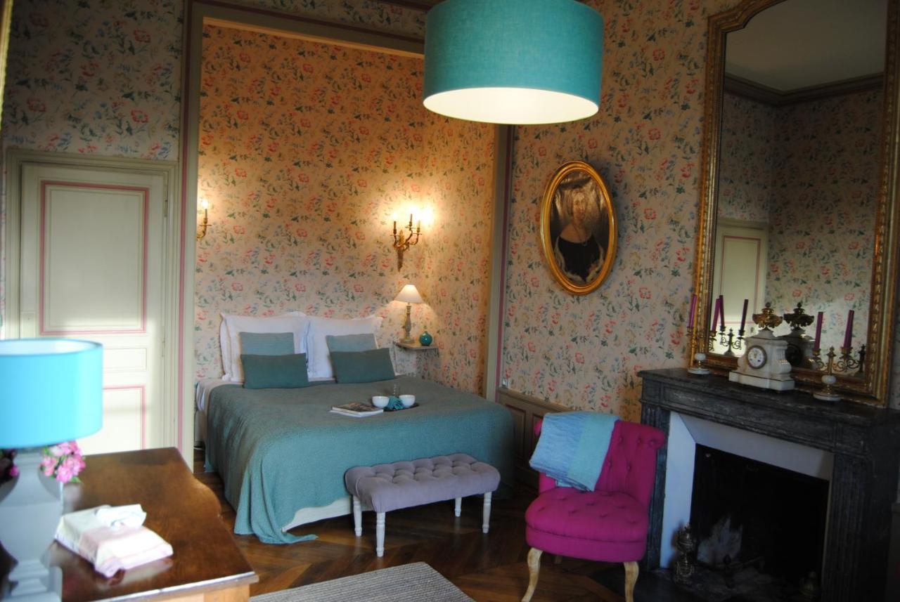 Chateau La Touanne Loire Valley Baccon 外观 照片